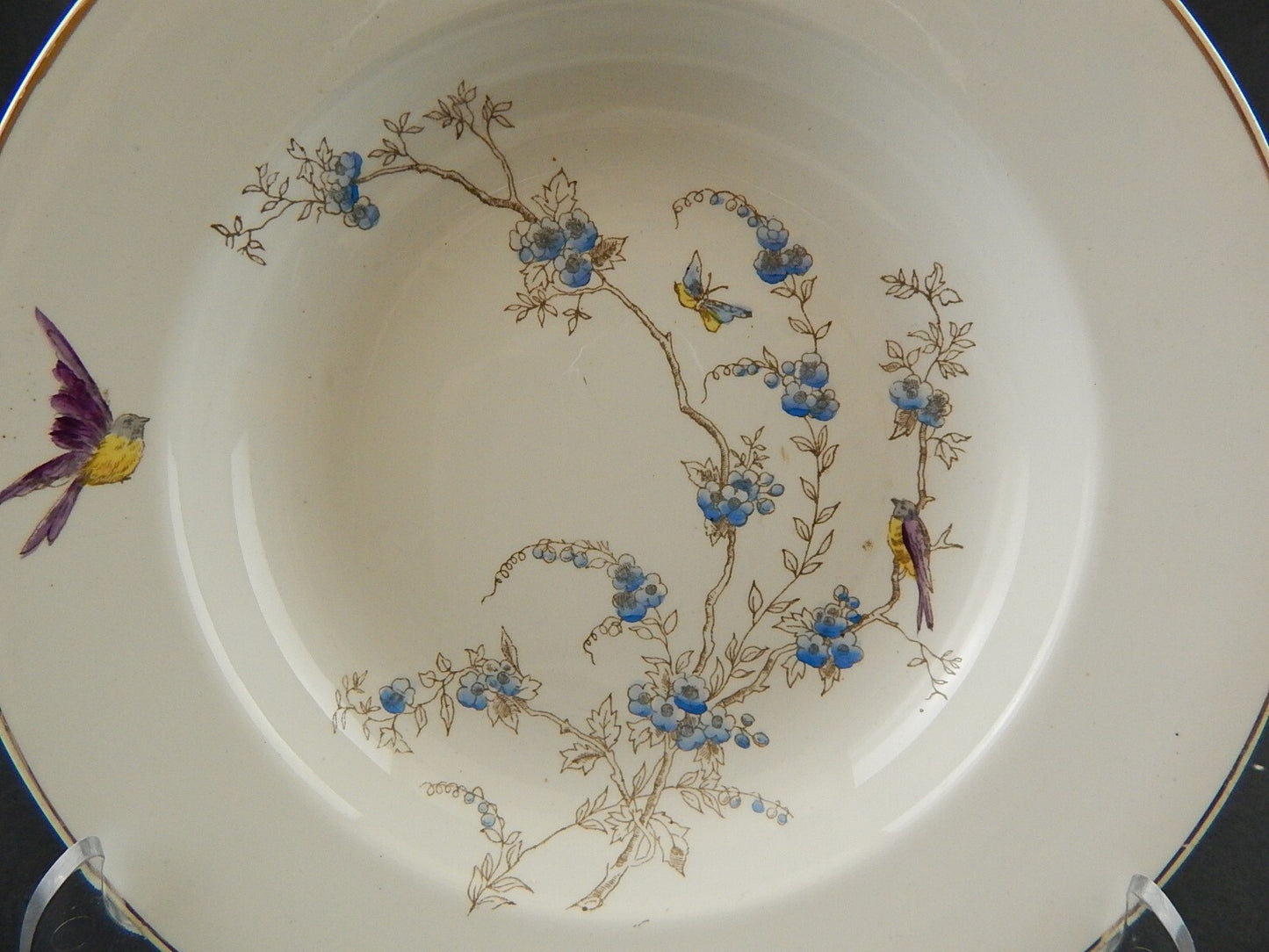ANTICO PIATTO FONDO CERAMICA RICHARD MILANO FIORI FARFALLE UCCELLINI
