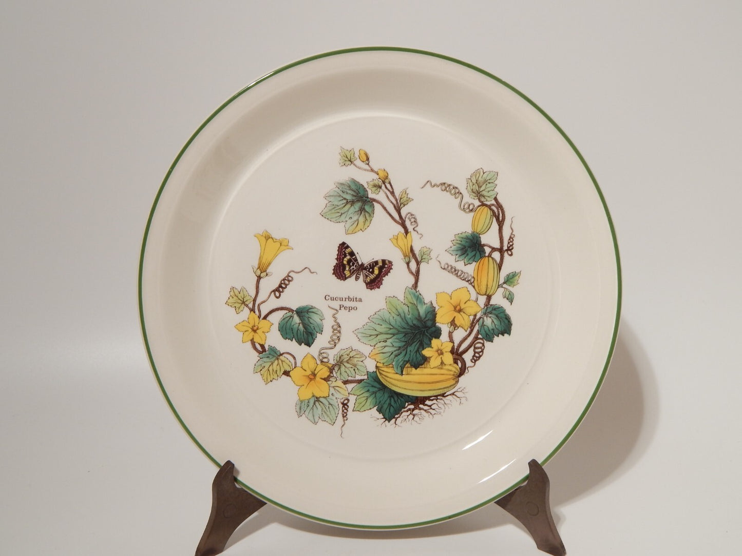 CERAMICA ENOCH WEDGWOOD VINTAGE SERVIZIO 18 PIATTI SERIE BOTANICA FLORABUNDA