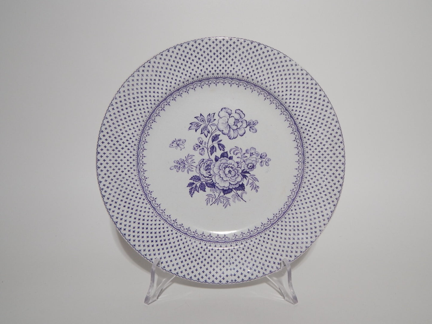 ANTICO RARO PIATTO CERAMICA STAFFORDSHIRE PRIMAVESI DEL 1860 ERMINE BORDER VIOLA