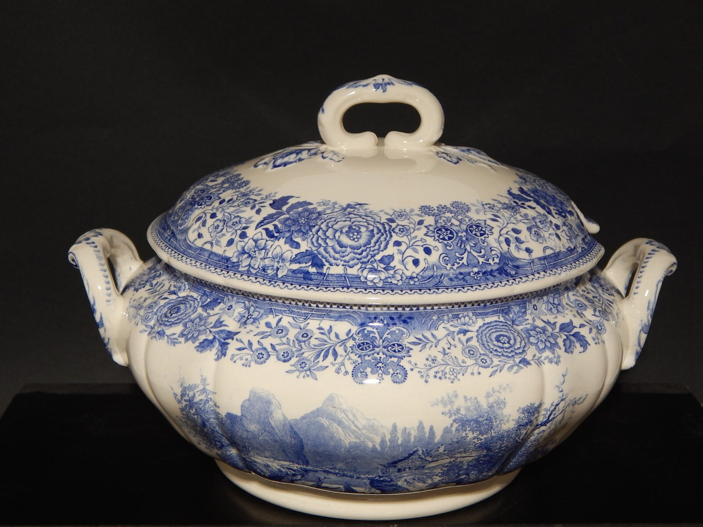 VINTAGE ZUPPIERA CENTROTAVOLA PORCELLANA VILLEROY&BOCH METTLACH SAAR BURGENLAND