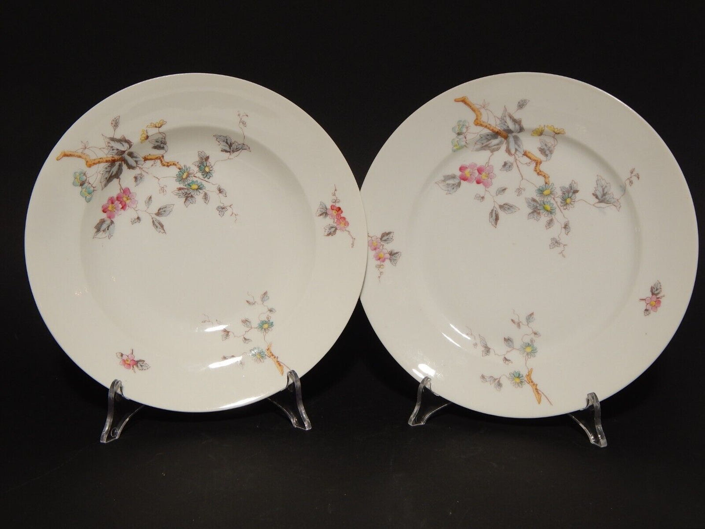 ANTICO RARO SERVIZIO TAVOLA 10 PIATTI PORCELLANA GINORI FINE 800 RAMO FIORITO