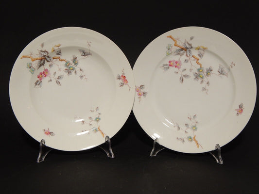 ANTICO RARO SERVIZIO TAVOLA 10 PIATTI PORCELLANA GINORI FINE 800 RAMO FIORITO