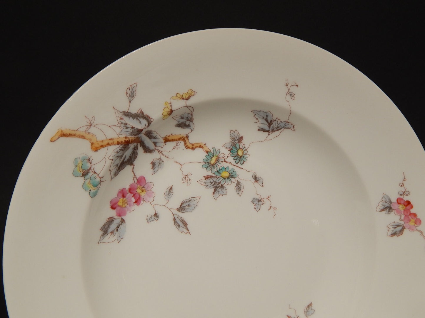 ANTICO RARO SERVIZIO TAVOLA 10 PIATTI PORCELLANA GINORI FINE 800 RAMO FIORITO