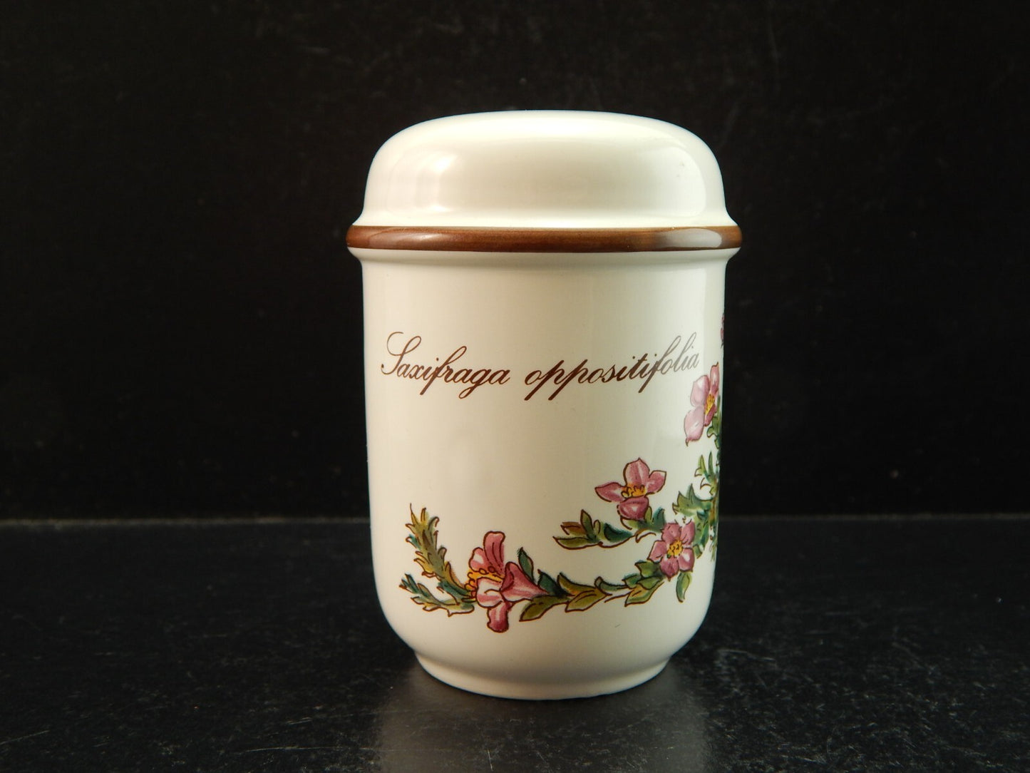 VINTAGE VILLEROY&BOCH SET SALE E PEPE PORCELLANA COLLEZIONE BOTANICA