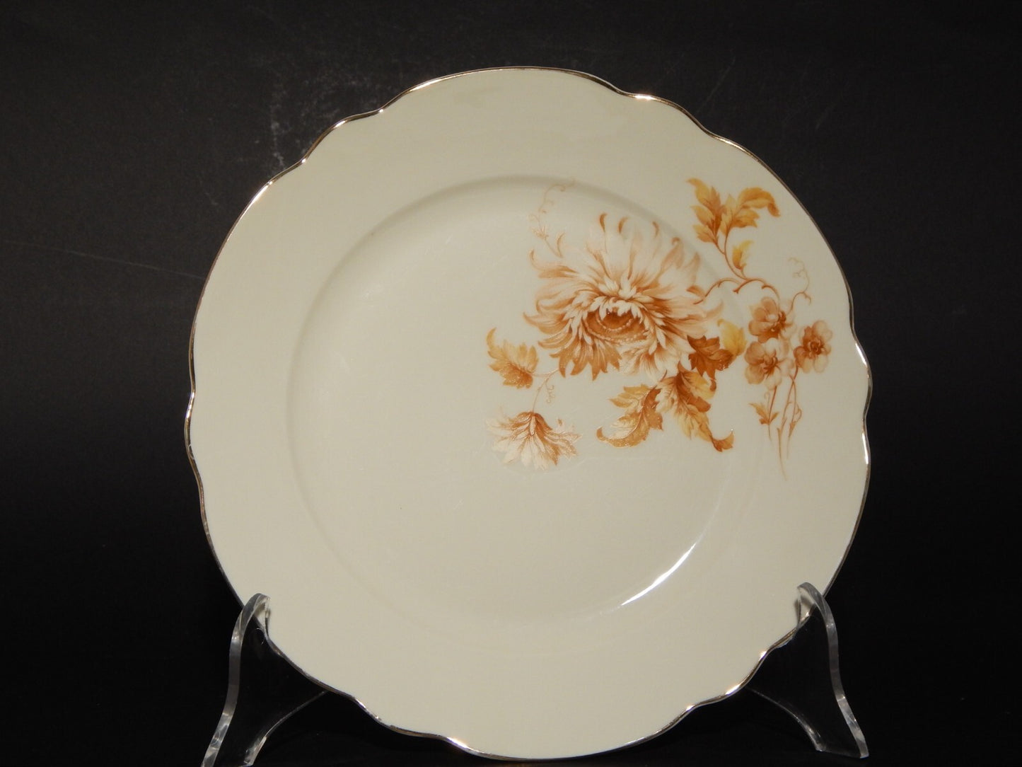 ANTICO PREZIOSO 1935 SERVIZIO TAVOLA PIATTI PORCELLANA VERBANO LAVENO ANDLOVITZ