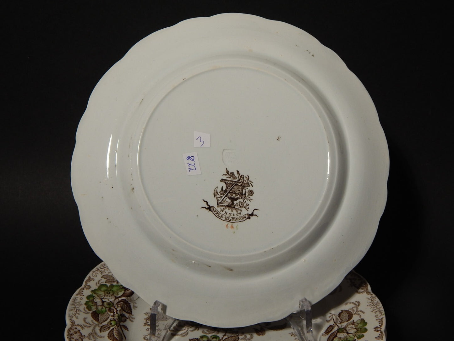 ANTICO 1850 SERVIZIO 6 PIATTI SEMI PORCELLANA INGLESE RIDGWAY &C. APPLE BLOSSOM