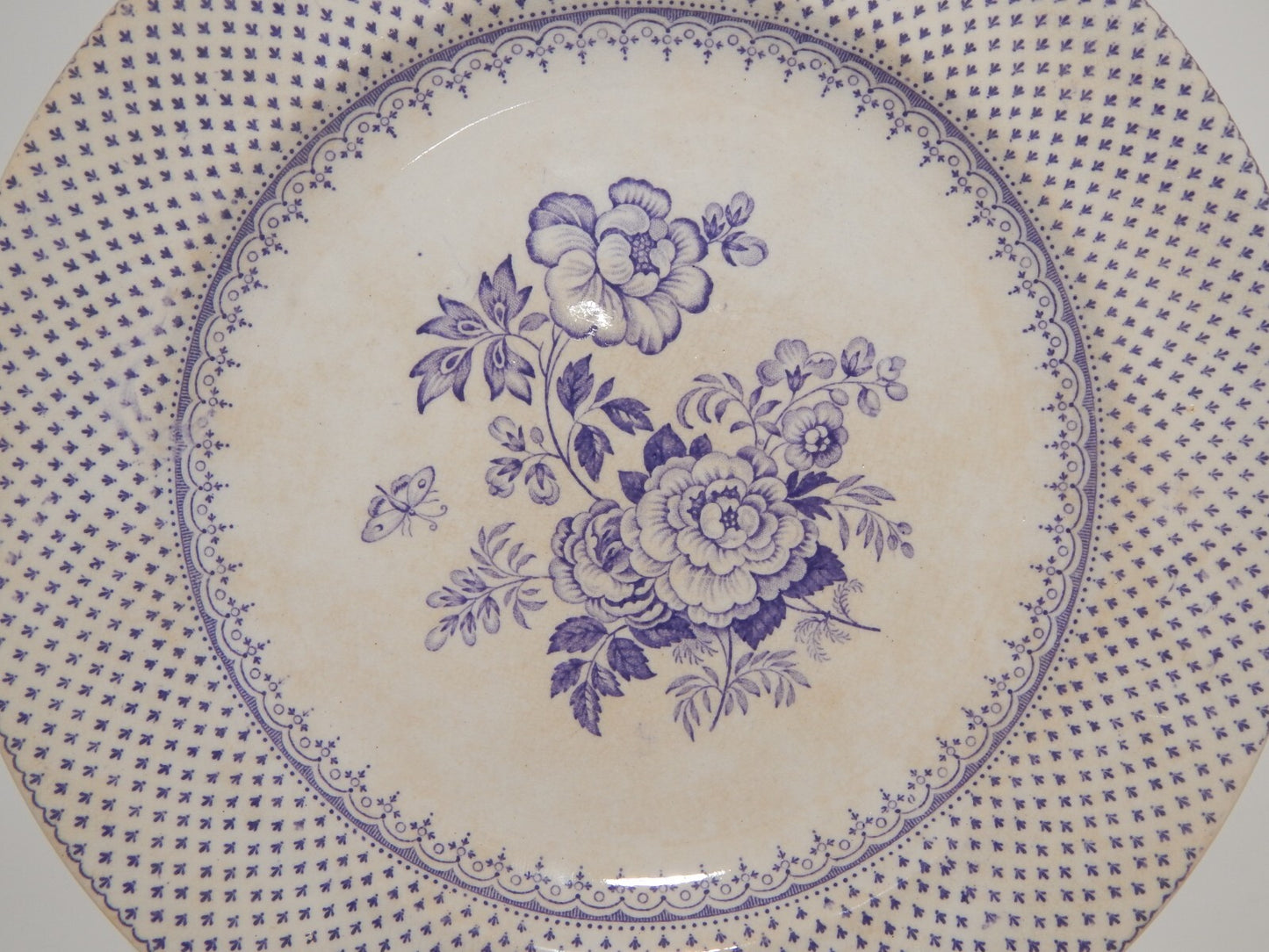 ANTICO PIATTO CERAMICA STAFFORDSHIRE PRIMAVESI DEL 1860 ERMINE BORDER VIOLA ##