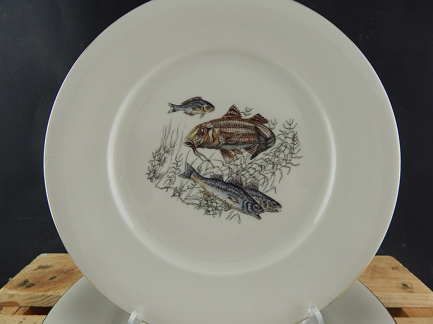 ANTICO SERVIZIO 6 PIATTI WINTERLING BAVARIA PORCELLANA COLLEZIONE PESCI