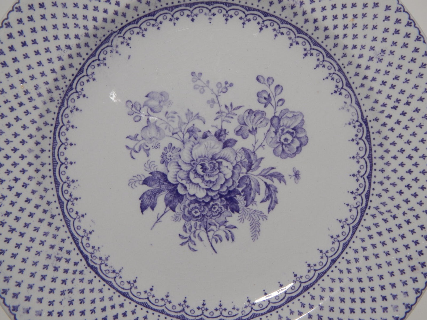 ANTICO SET 18 PIATTI CERAMICA STAFFORDSHIRE PRIMAVESI 1860 ERMINE BORDER VIOLA