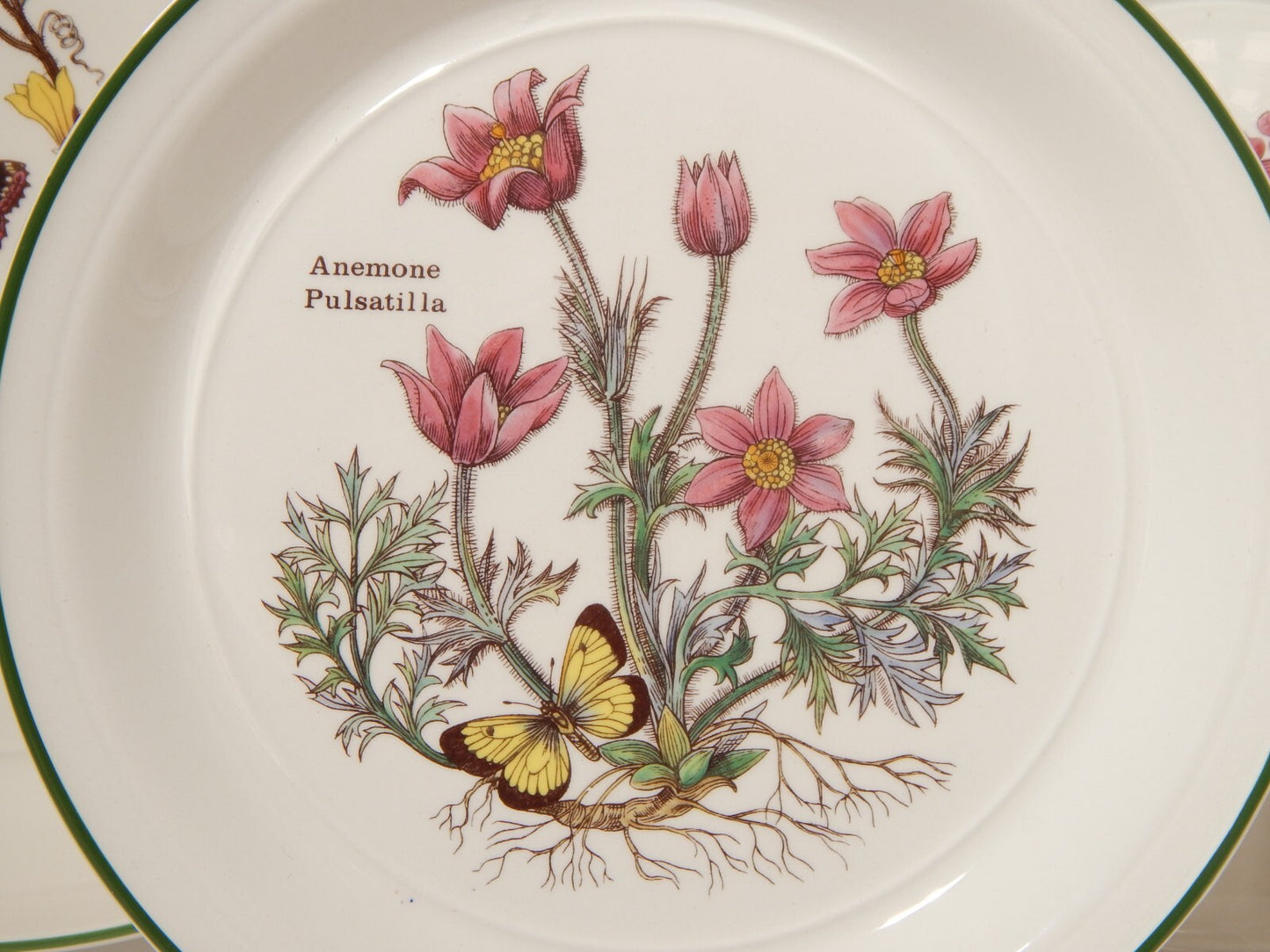 CERAMICA ENOCH WEDGWOOD VINTAGE SERVIZIO 18 PIATTI SERIE BOTANICA FLORABUNDA