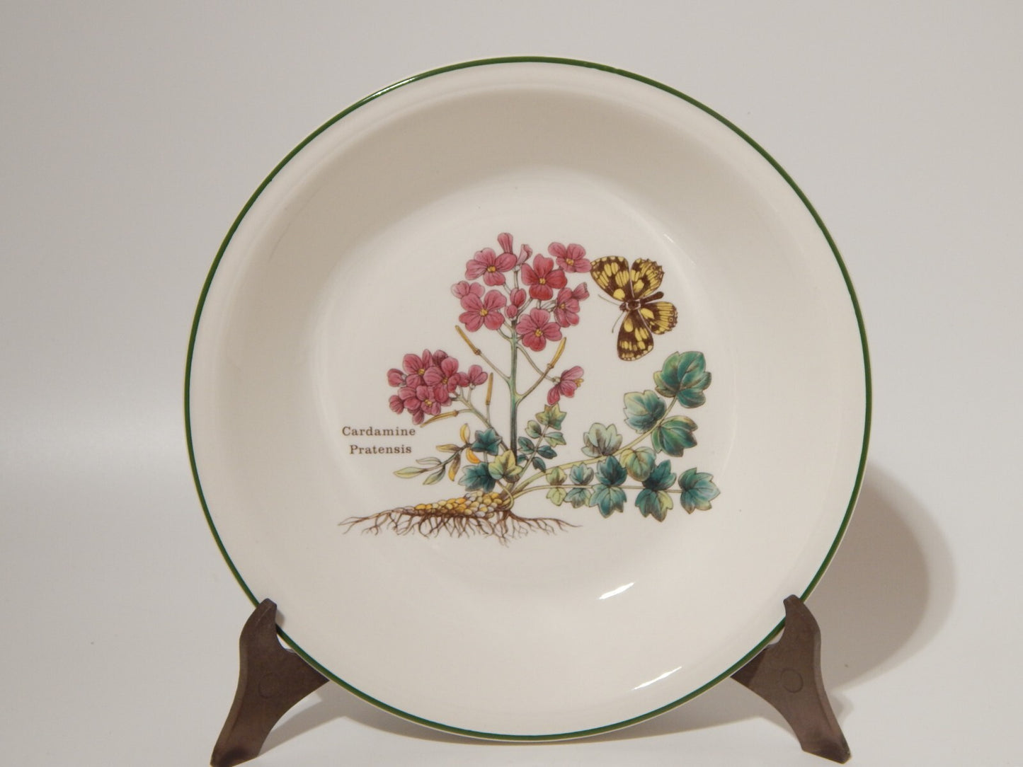 CERAMICA ENOCH WEDGWOOD VINTAGE SERVIZIO 18 PIATTI SERIE BOTANICA FLORABUNDA