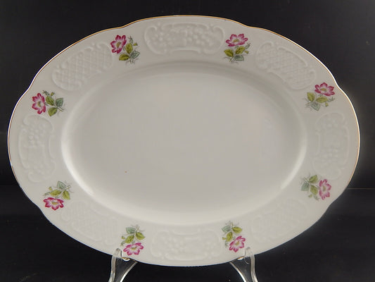 VINTAGE RICHARD GINORI VASSOIO PIATTO OVALE PORCELLANA ROSA CANINA DIFETTO