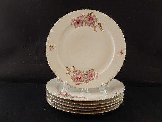 ANTICO RARO SERVIZIO 6 PIATTI PIANI PORCELLANA SELTMANN WEIDEN BAVARIA ELISABETH