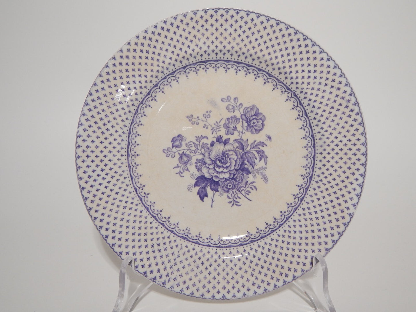 ANTICO SET 12 PIATTI CERAMICA STAFFORDSHIRE PRIMAVESI 1860 ERMINE BORDER VIOLA