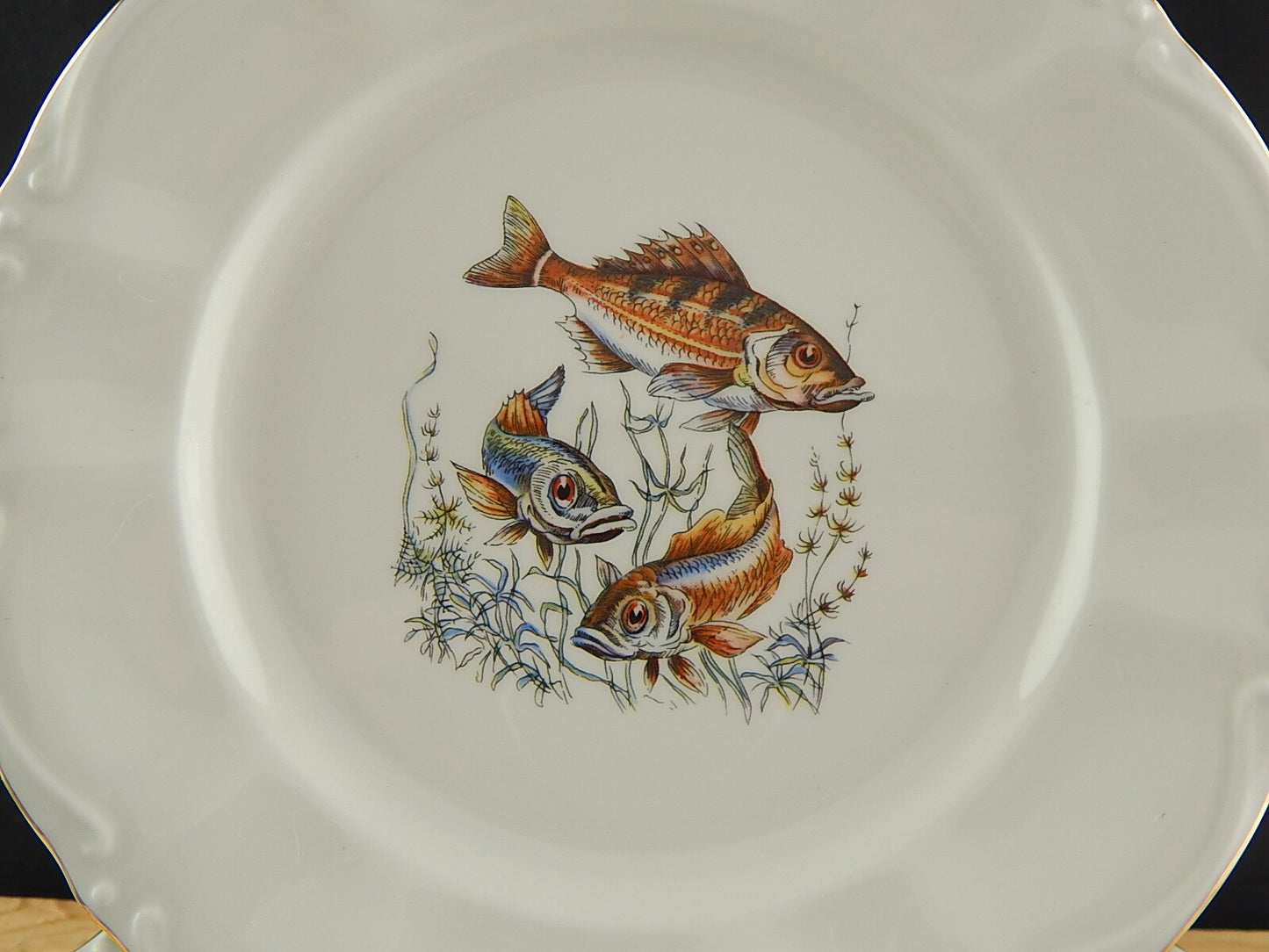 VINTAGE ROCAILLE SERVIZIO 6 PIATTI ROYAL TOGNANA PORCELLANA D’ITALIA PESCI