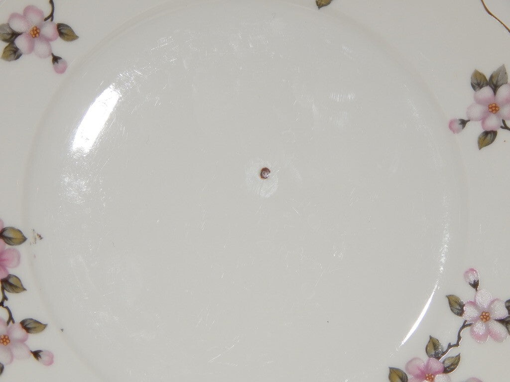 VINTAGE SERVIZIO 6 PIATTI DESSERT PORCELLANA SELTMANN WEIDEN BAVARIA FIORI PESCO