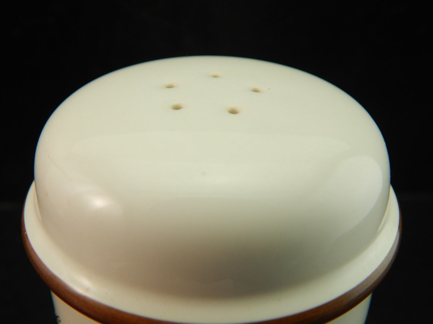 VINTAGE VILLEROY&BOCH SET SALE E PEPE PORCELLANA COLLEZIONE BOTANICA