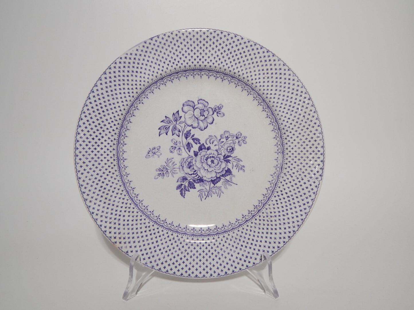 ANTICO PIATTO CERAMICA STAFFORDSHIRE PRIMAVESI DEL 1860 ERMINE BORDER VIOLA #