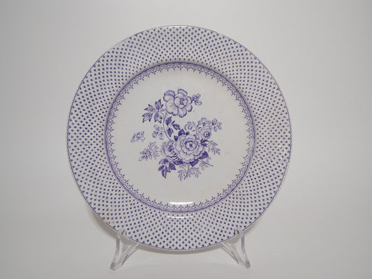 ANTICO PIATTO CERAMICA STAFFORDSHIRE PRIMAVESI DEL 1860 ERMINE BORDER VIOLA #