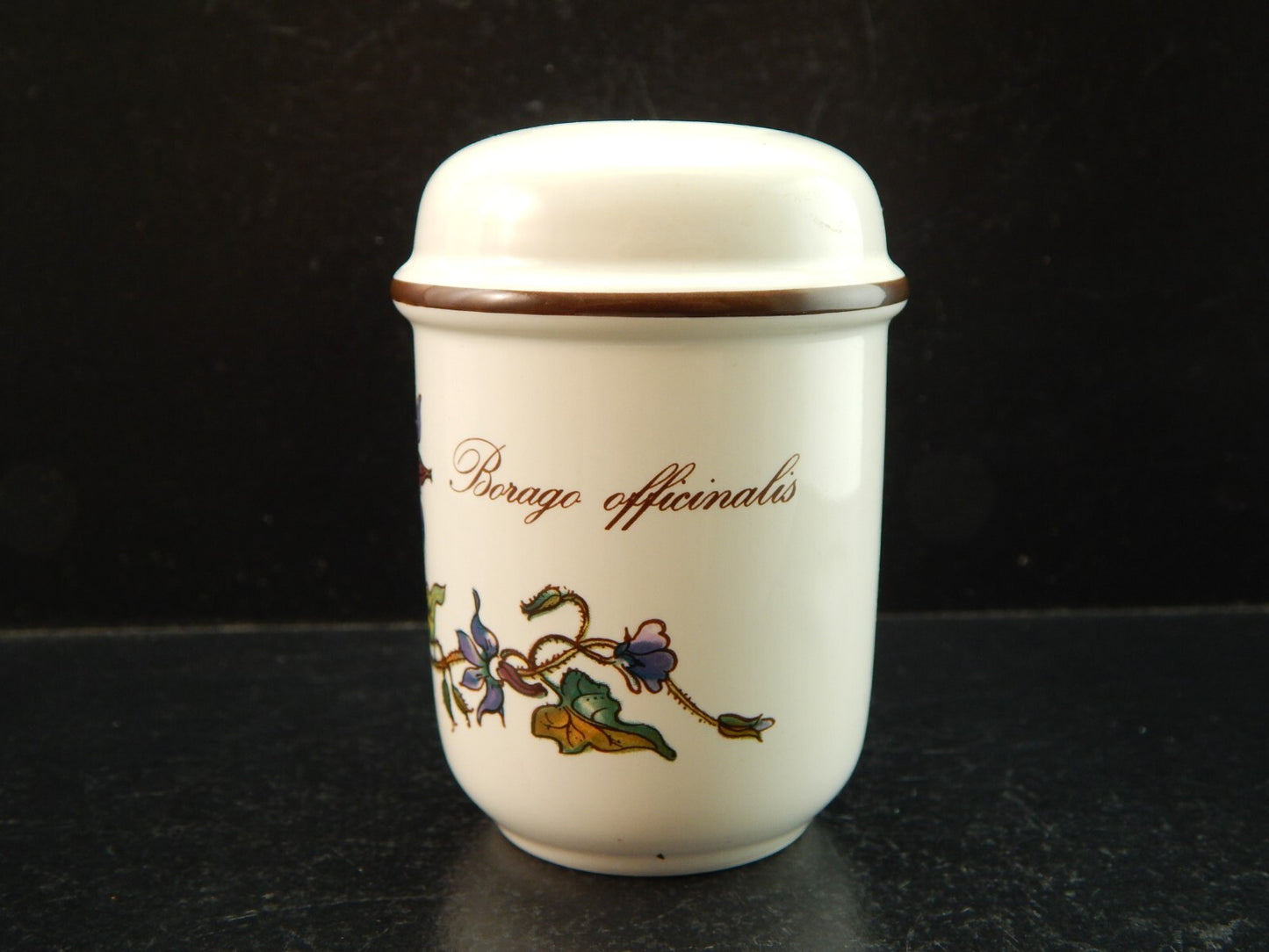 VINTAGE VILLEROY&BOCH SET SALE E PEPE PORCELLANA COLLEZIONE BOTANICA