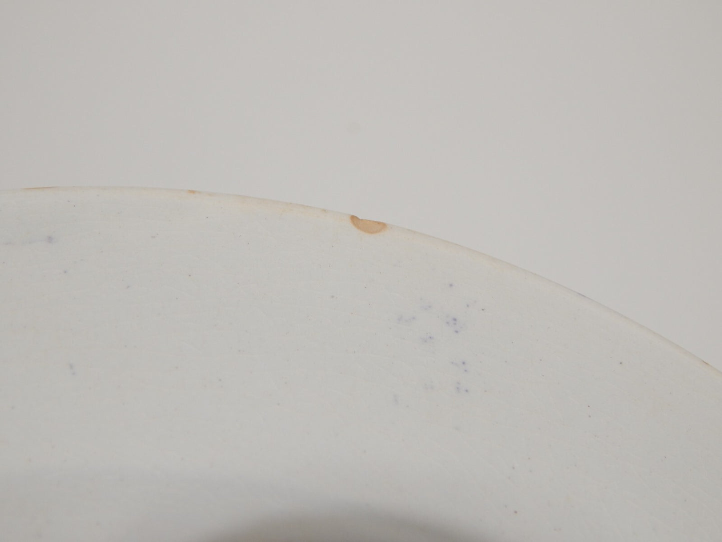 ANTICO PIATTO CERAMICA STAFFORDSHIRE PRIMAVESI DEL 1860 ERMINE BORDER VIOLA #