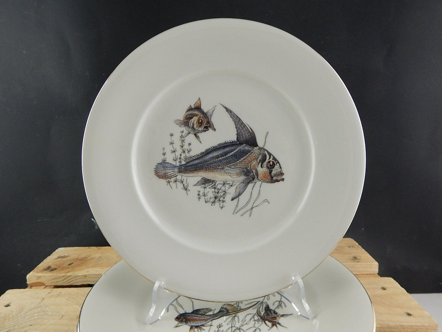 ANTICO SERVIZIO 6 PIATTI WINTERLING BAVARIA PORCELLANA COLLEZIONE PESCI