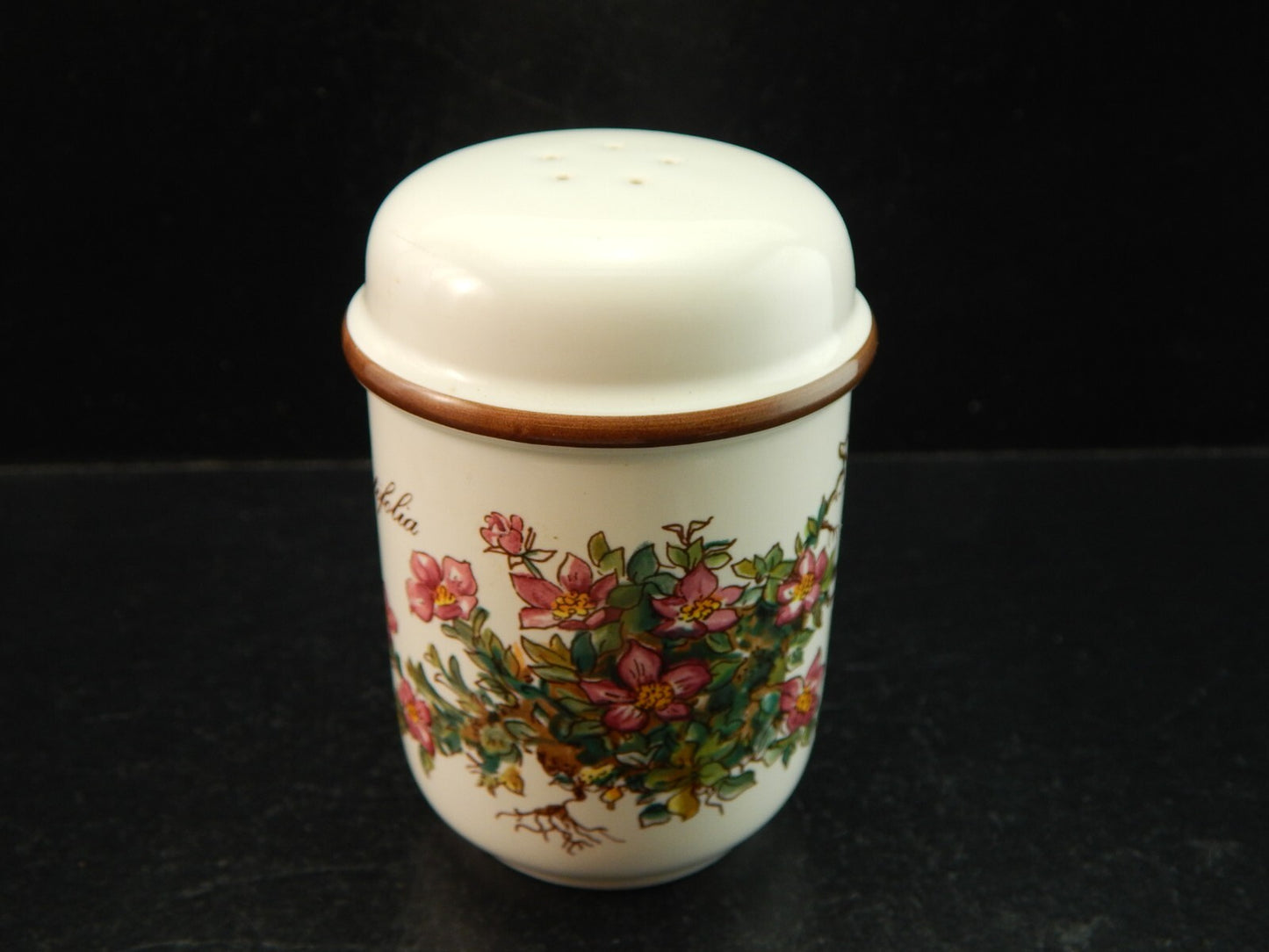 VINTAGE VILLEROY&BOCH SET SALE E PEPE PORCELLANA COLLEZIONE BOTANICA