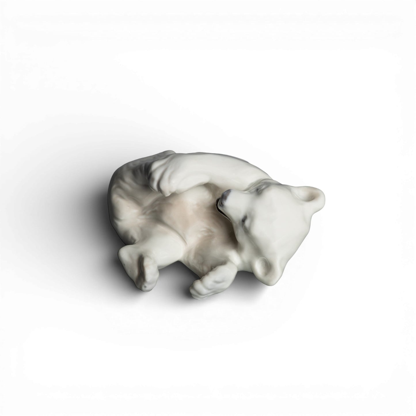 Image #5
