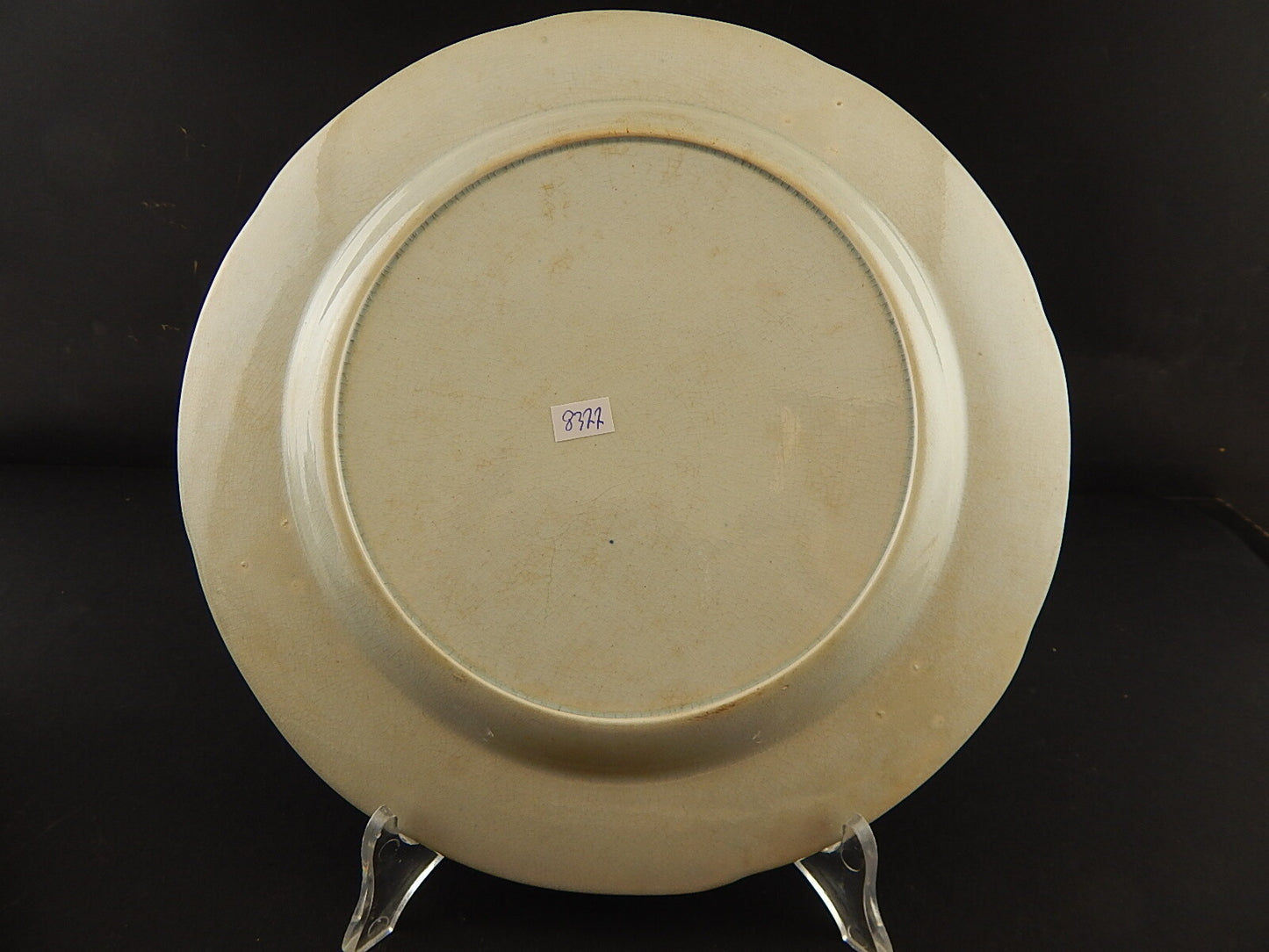 ANTICO RARISSIMO PIATTO INGLESE CERAMICA 1837-50 POUNTNEY & GOLDNEY DROMEDARIO