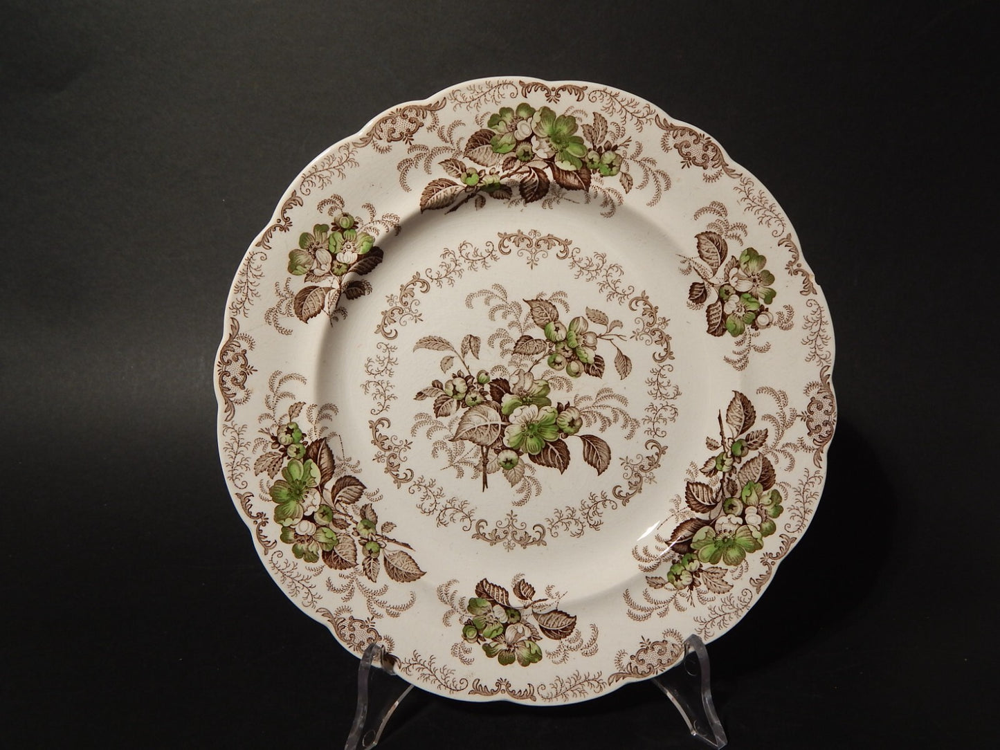 ANTICO 1850 PIATTO PIANO SEMI PORCELLANA INGLESE RIDGWAY &C. APPLE BLOSSOM #884