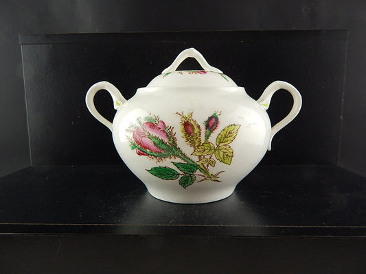 ANTICA ART NOUVEAU LIBERTY ZUCCHERIERA POTICHE PORCELLANA DIPINTA MANO ROSA