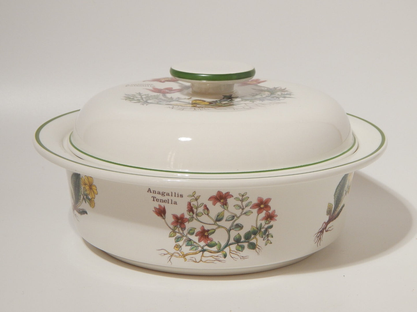 CERAMICA ENOCH WEDGWOOD ZUPPIERA LEGUMIERA SERIE BOTANICA FLORABUNDA