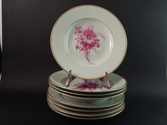 ANTICO SERVIZIO 8 PIATTI PORCELLANA JOHANN HAVILAND BAVARIA DECORO SAVONA