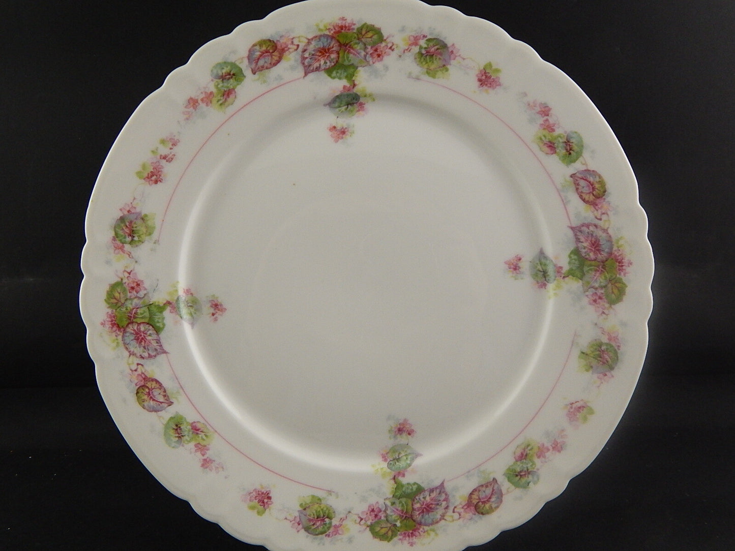 ANTICO PREZIOSO RARO SERVIZIO TAVOLA PIATTI PORCELLANA GINORI DOCCIA LIBERTY