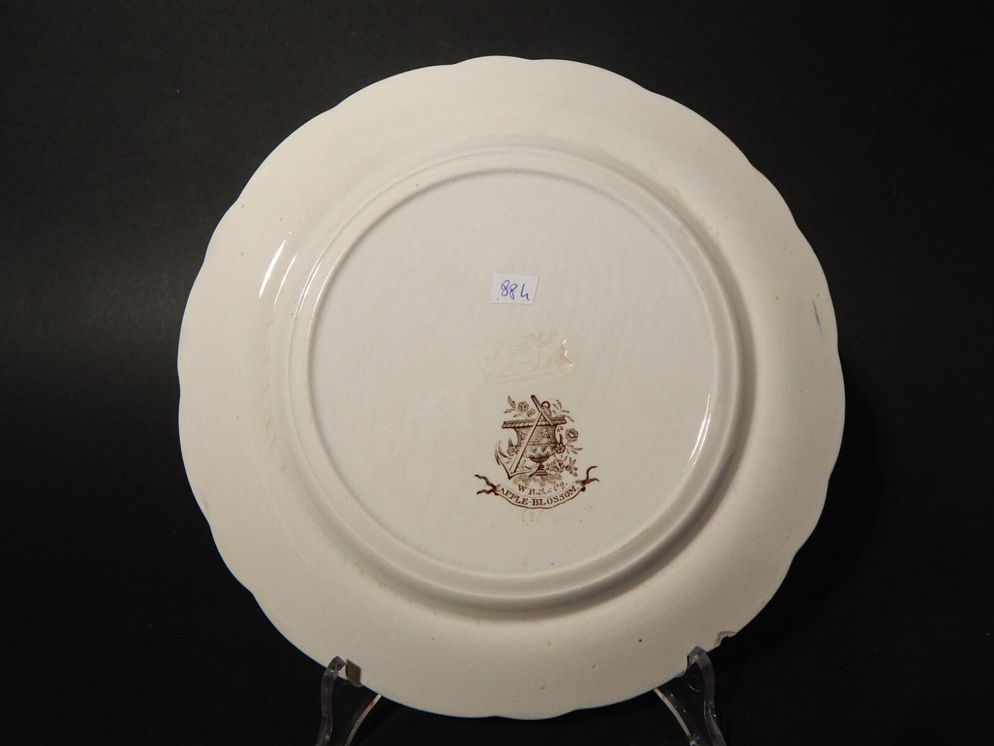 ANTICO 1850 PIATTO PIANO SEMI PORCELLANA INGLESE RIDGWAY &C. APPLE BLOSSOM #884