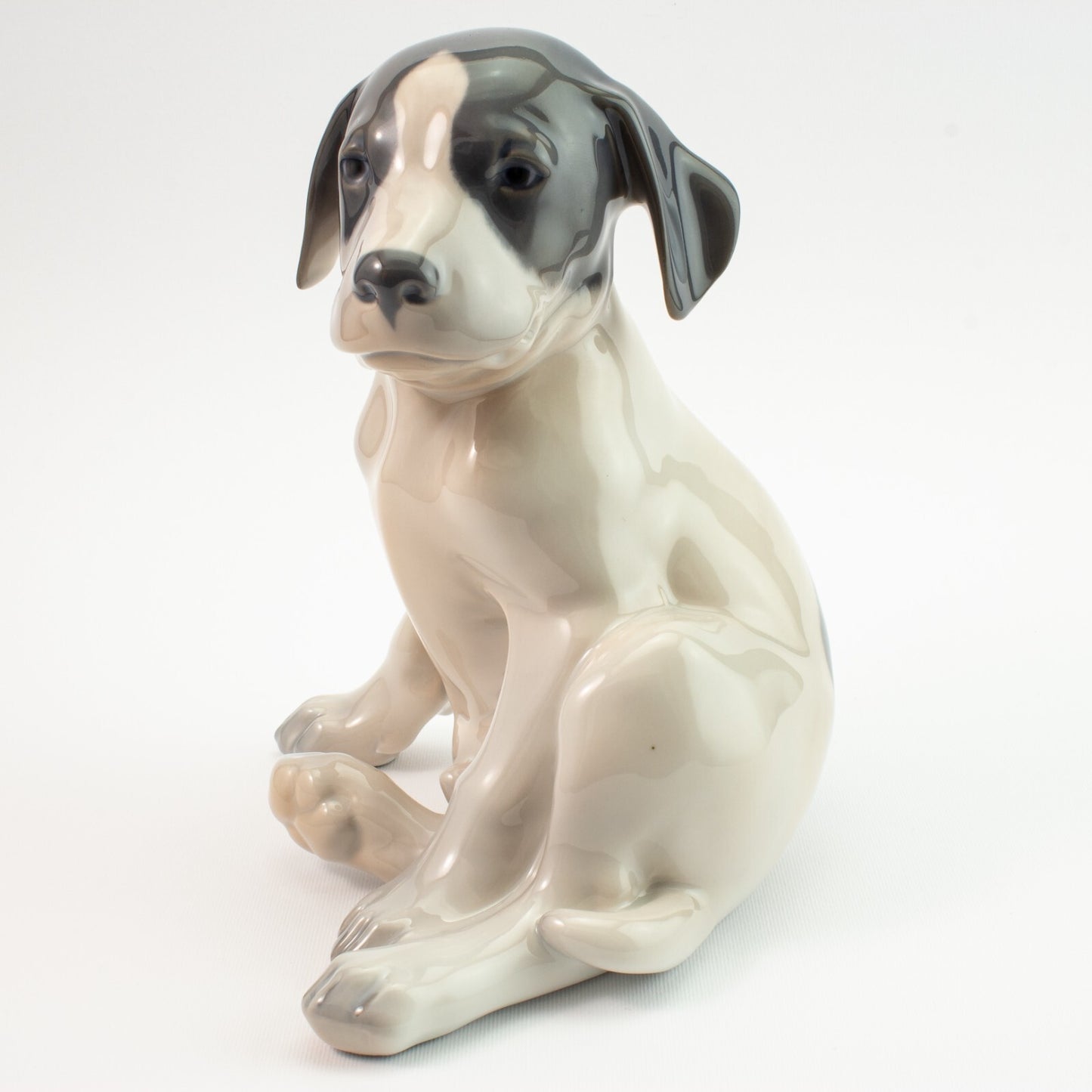 STATUINA PORCELLANA ROYAL COPENHAGEN "Cucciolo di Pointer" 259 ORIGINALE 20x18