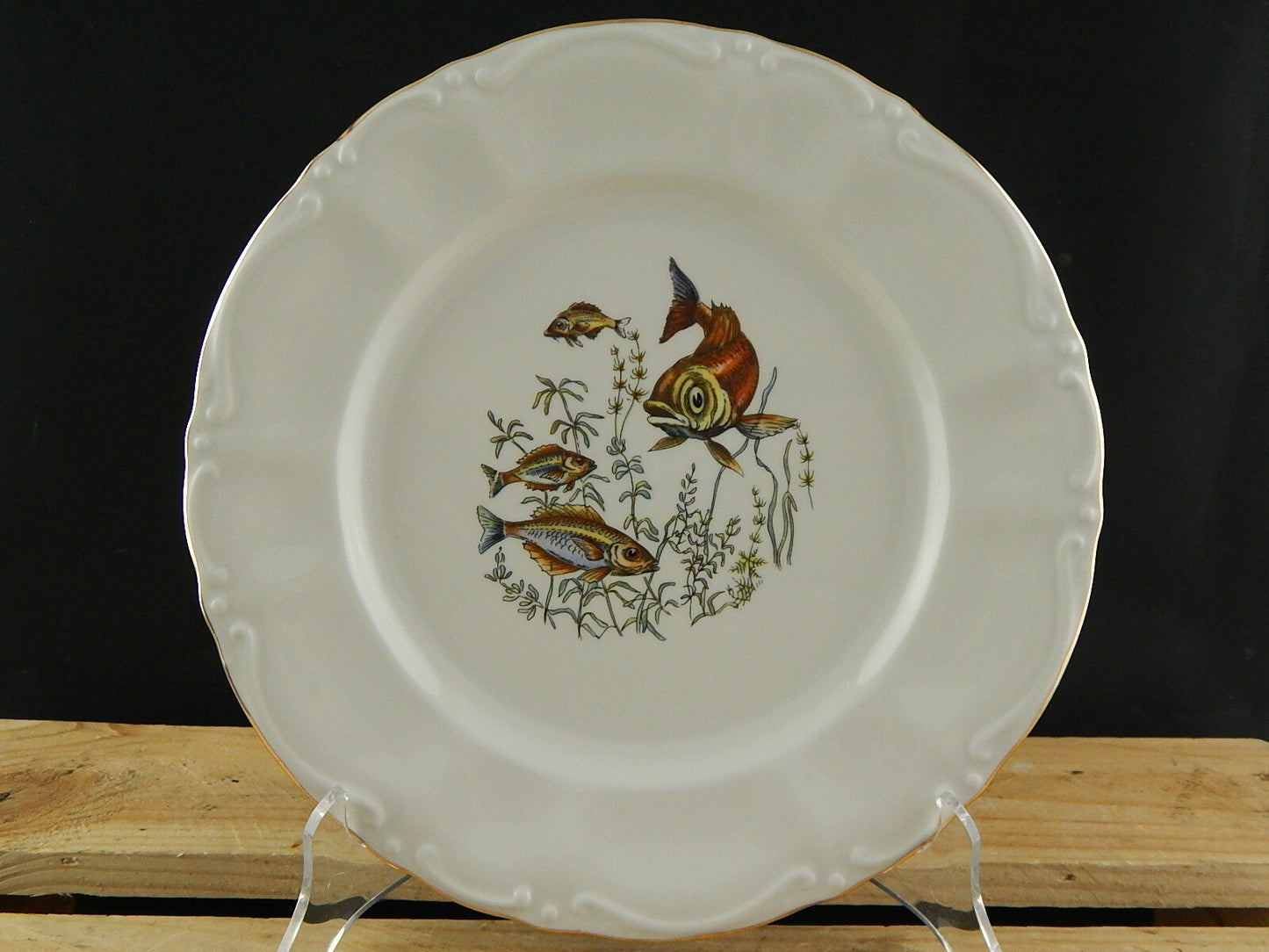 VINTAGE ROCAILLE SERVIZIO 6 PIATTI ROYAL TOGNANA PORCELLANA D’ITALIA PESCI