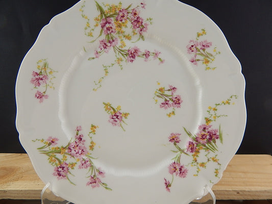 ANTICO PIATTO DIPINTO PORCELLANA LIMOGES THEODOR HAVILAND FINE 1800 DIFETTO 3000