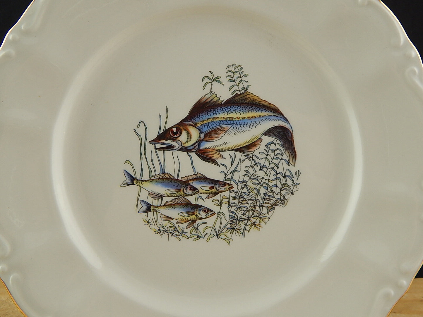 VINTAGE ROCAILLE SERVIZIO 6 PIATTI ROYAL TOGNANA PORCELLANA D’ITALIA PESCI