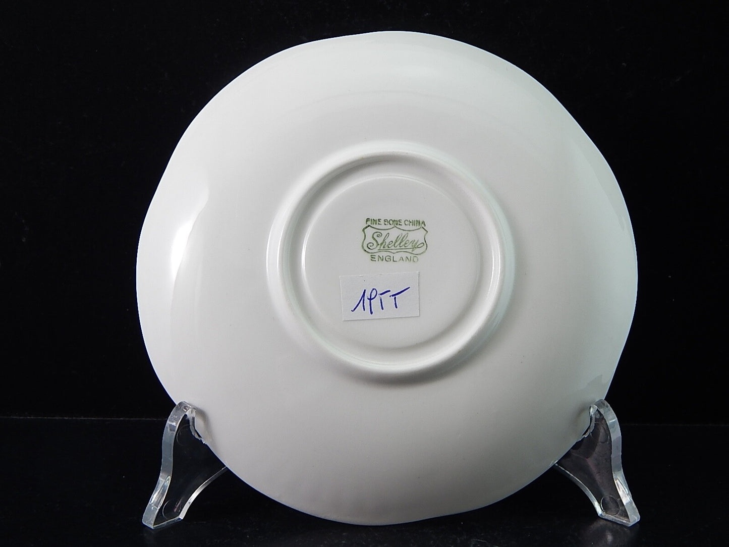 ANTICA PORCELLANA BIANCA TAZZA TE' FINE BONE CHINA SHELLEY MADE IN ENGLAND #