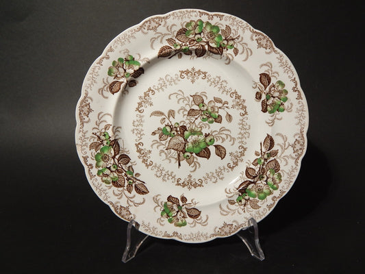 ANTICO 1850 PIATTO PIANO SEMI PORCELLANA INGLESE RIDGWAY &C. APPLE BLOSSOM #885