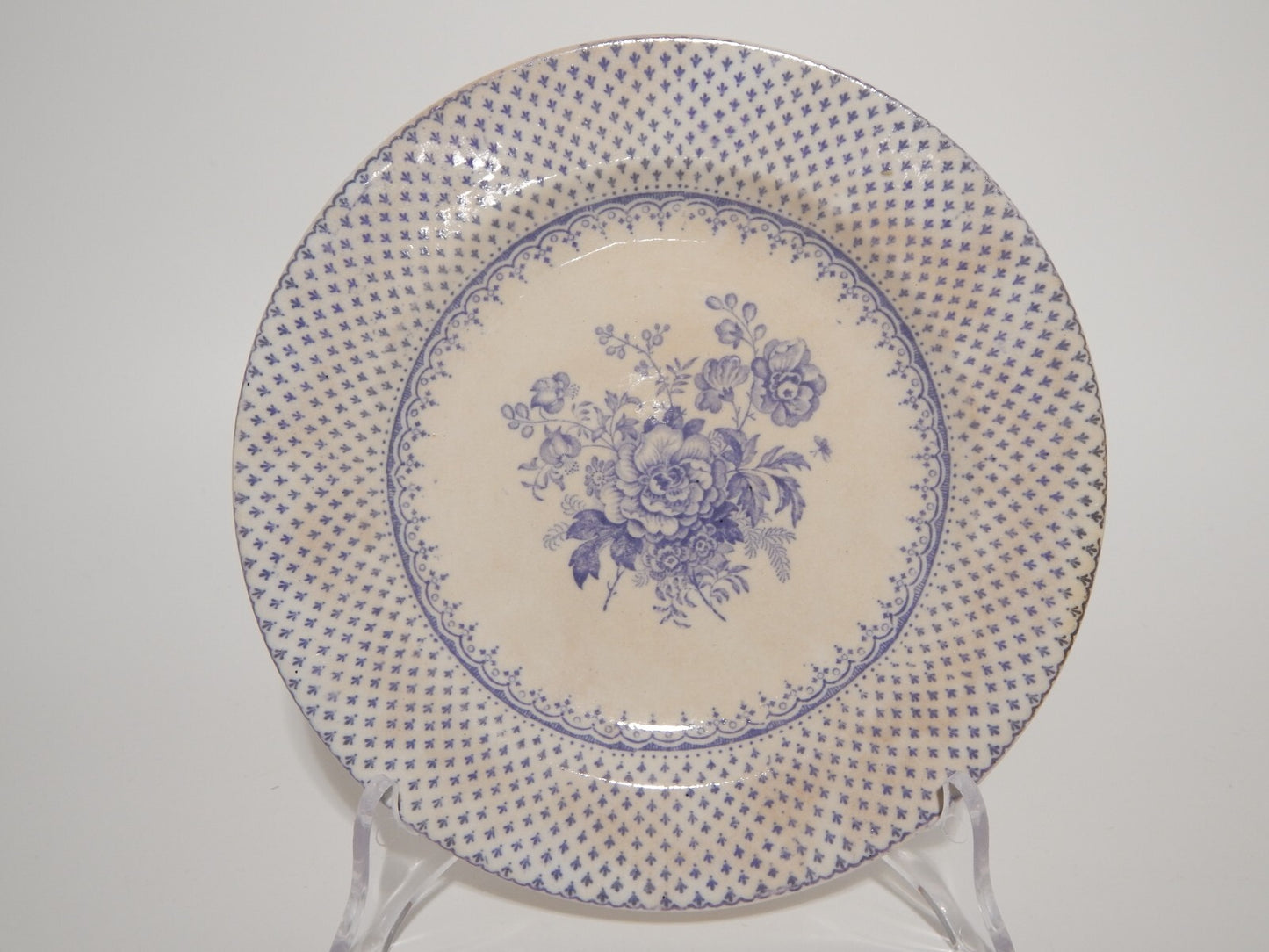 ANTICO SET 12 PIATTI CERAMICA STAFFORDSHIRE PRIMAVESI 1860 ERMINE BORDER VIOLA