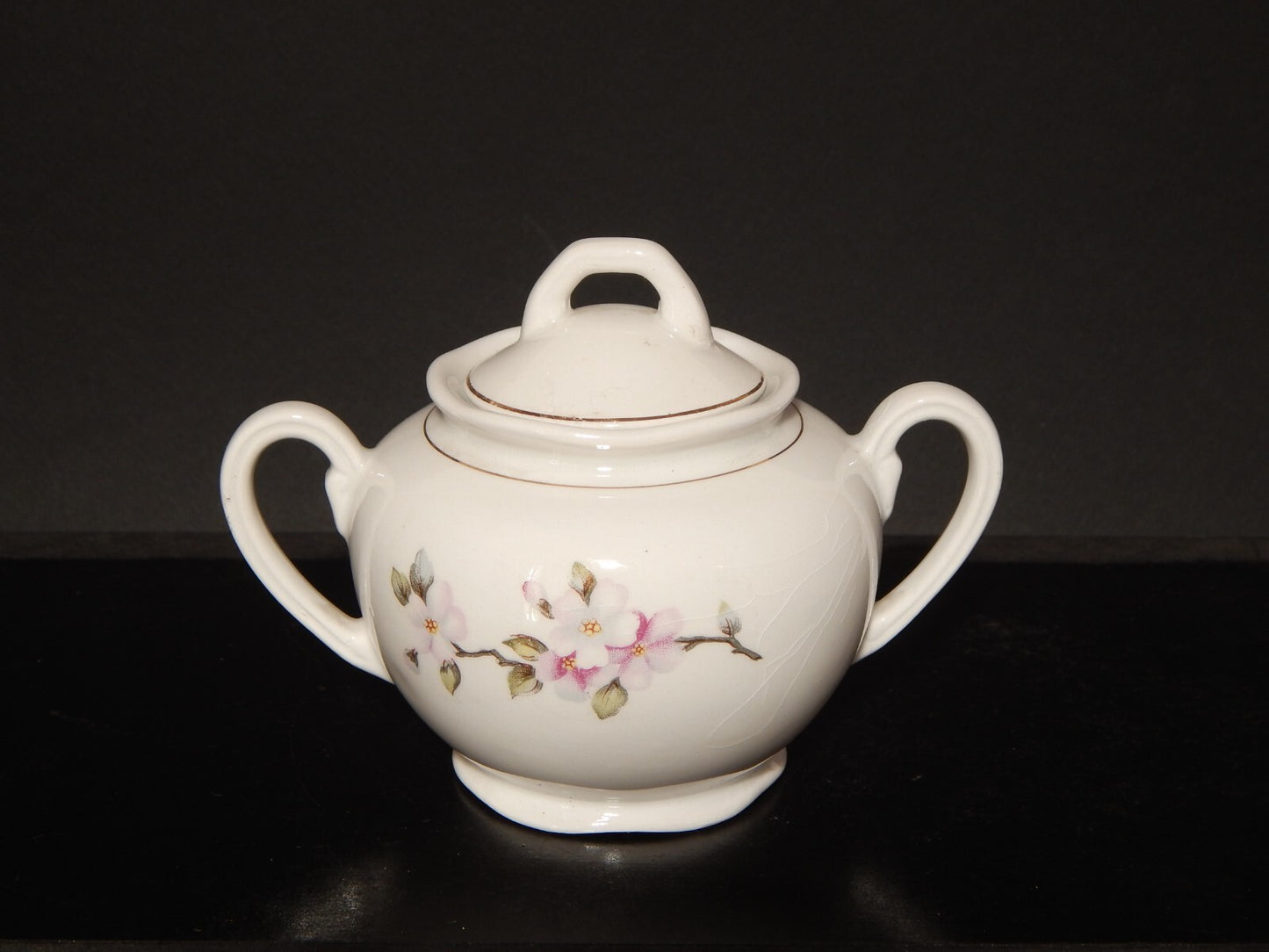 MODERNARIATO SERVIZIO DA TE' SOCIETA' CERAMICA ITALIANA LAVENO FIORI DI PESCO