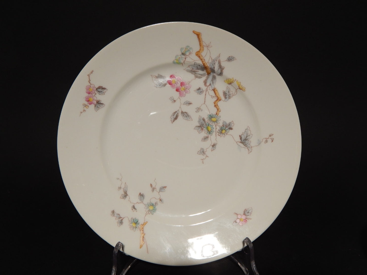 ANTICO RARO SERVIZIO TAVOLA 10 PIATTI PORCELLANA GINORI FINE 800 RAMO FIORITO