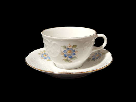 VINTAGE ELEGANTE TAZZINA CAFFÈ PORCELLANA RICHARD GINORI DECORO FLOREALE