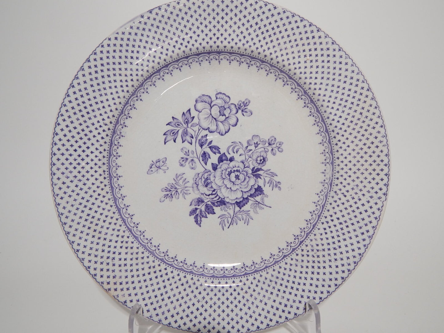 ANTICO PIATTO CERAMICA STAFFORDSHIRE PRIMAVESI DEL 1860 ERMINE BORDER VIOLA #