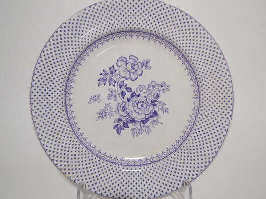 ANTICO PIATTO CERAMICA STAFFORDSHIRE PRIMAVESI DEL 1860 ERMINE BORDER VIOLA #