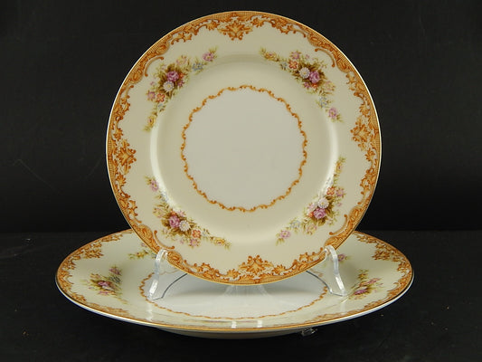 VINTAGE PREZIOSO SERVIZIO TAVOLA PORCELLANA 12 PIATTI SVOTO CHINA JAPAN