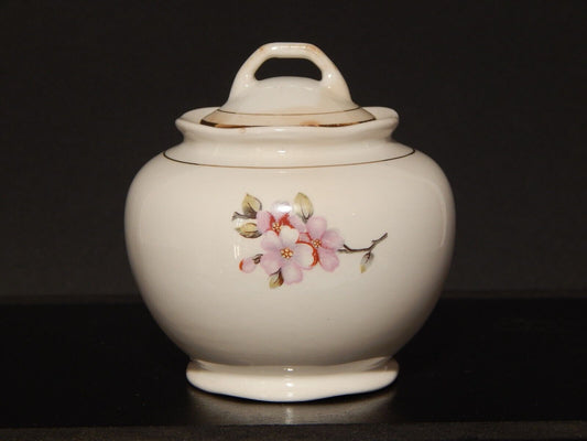 MODERNARIATO ZUCCHERIERA SOCIETA' CERAMICA ITALIANA LAVENO DECORO FIORI DI PESCO