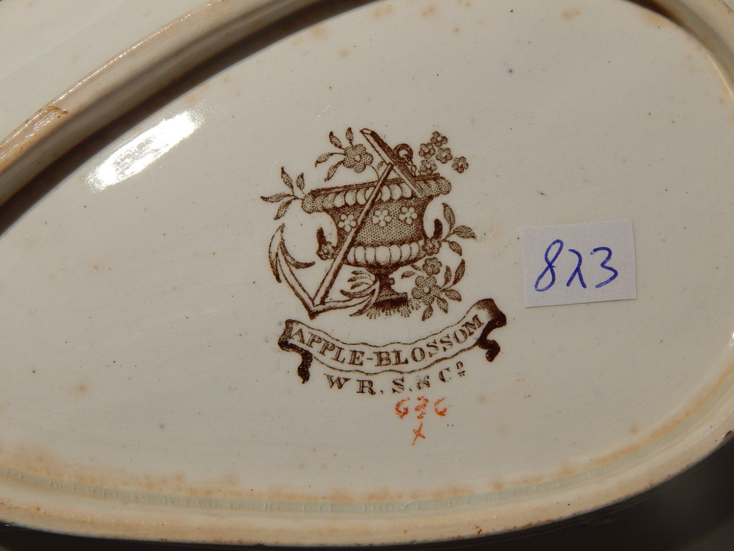 ANTICA 1850 RAVIERA PIATTO CONCHIGLIA SEMI PORCELLANA RIDGWAY &C. APPLE BLOSSOM